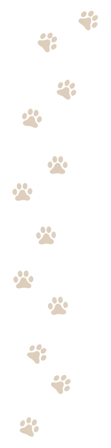 left-paws
