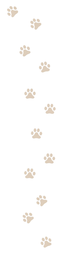 right-paws